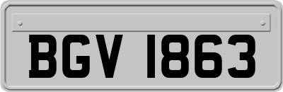 BGV1863