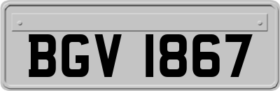 BGV1867