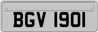 BGV1901