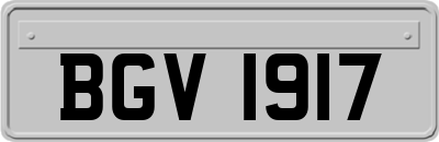 BGV1917