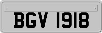 BGV1918