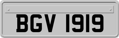 BGV1919