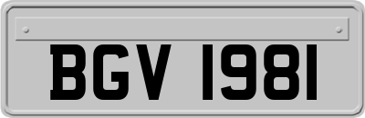 BGV1981