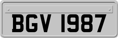 BGV1987