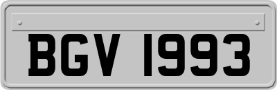 BGV1993