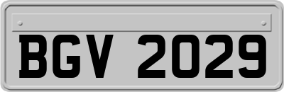 BGV2029