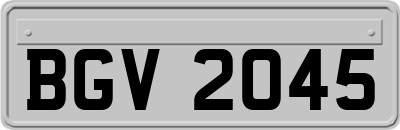 BGV2045