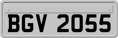 BGV2055