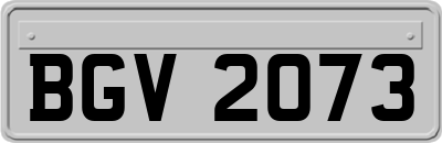 BGV2073