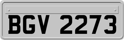BGV2273