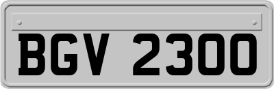 BGV2300