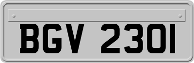 BGV2301