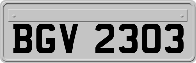 BGV2303