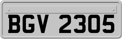 BGV2305