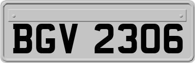 BGV2306
