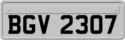 BGV2307