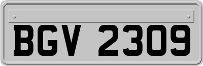 BGV2309