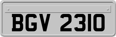 BGV2310