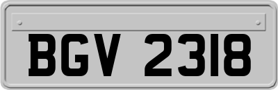 BGV2318