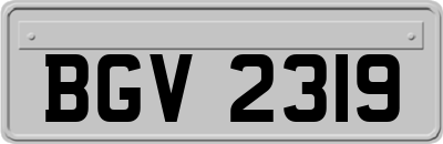 BGV2319