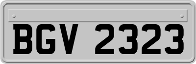 BGV2323