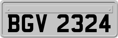 BGV2324