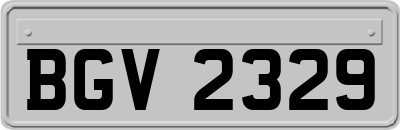 BGV2329