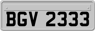 BGV2333