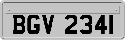 BGV2341