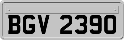 BGV2390