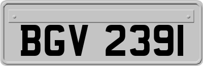 BGV2391