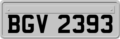 BGV2393