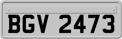 BGV2473