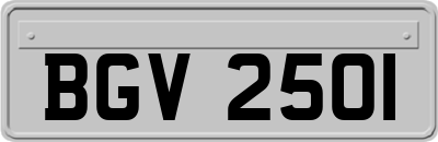 BGV2501