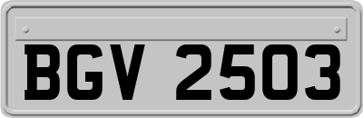 BGV2503