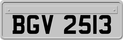 BGV2513
