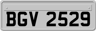 BGV2529
