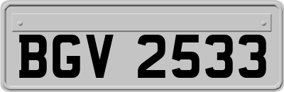 BGV2533