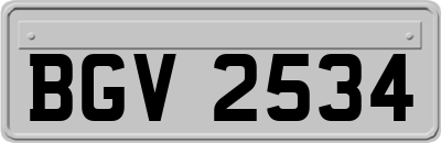 BGV2534