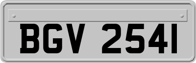 BGV2541