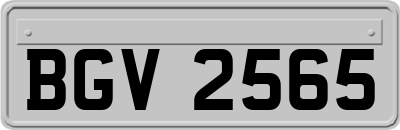 BGV2565