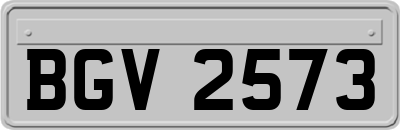 BGV2573