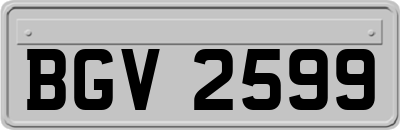 BGV2599