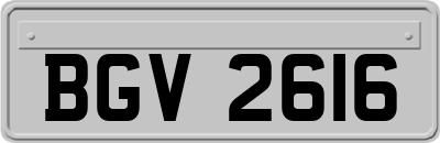 BGV2616