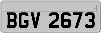 BGV2673