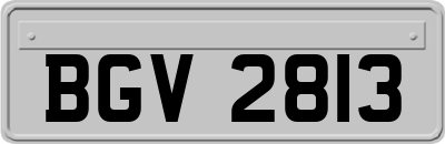 BGV2813