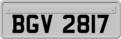 BGV2817