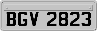 BGV2823