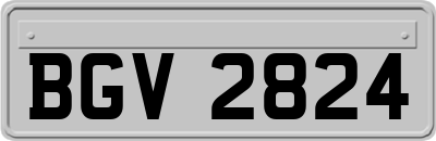 BGV2824