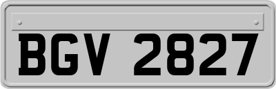 BGV2827